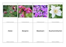 Blumen-Memo-Aufdeckspiel-15.pdf